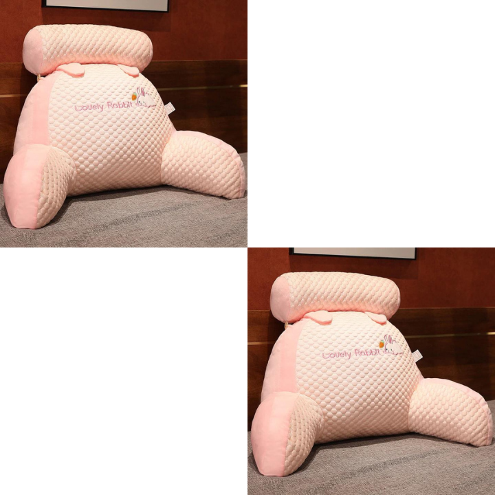 2 x Sanellia Ergonomic Pillow